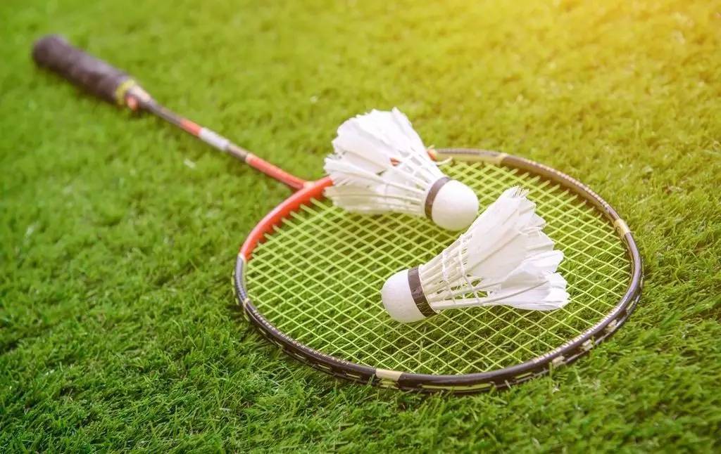 烟台鹿扬将 烟台鹿扬将